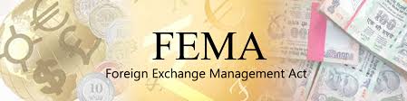 FEMA Lawyers in Delhi
